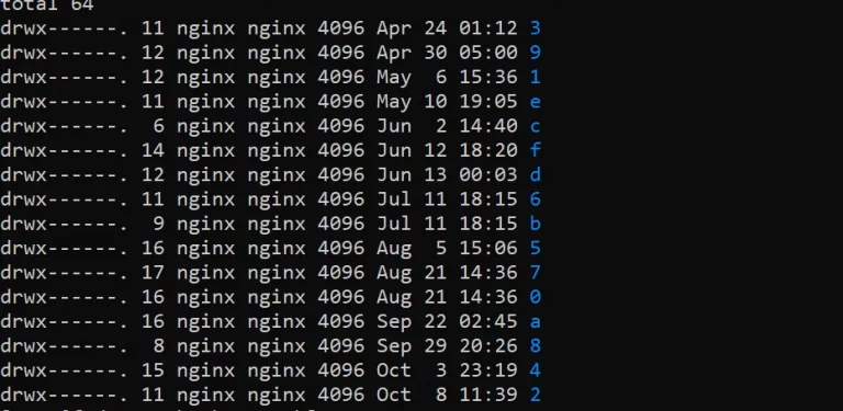 Nginx fastcgi cache